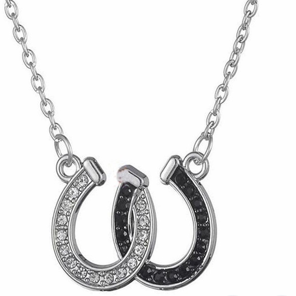 Jewelry - Horse shoe necklace🐎🐎
